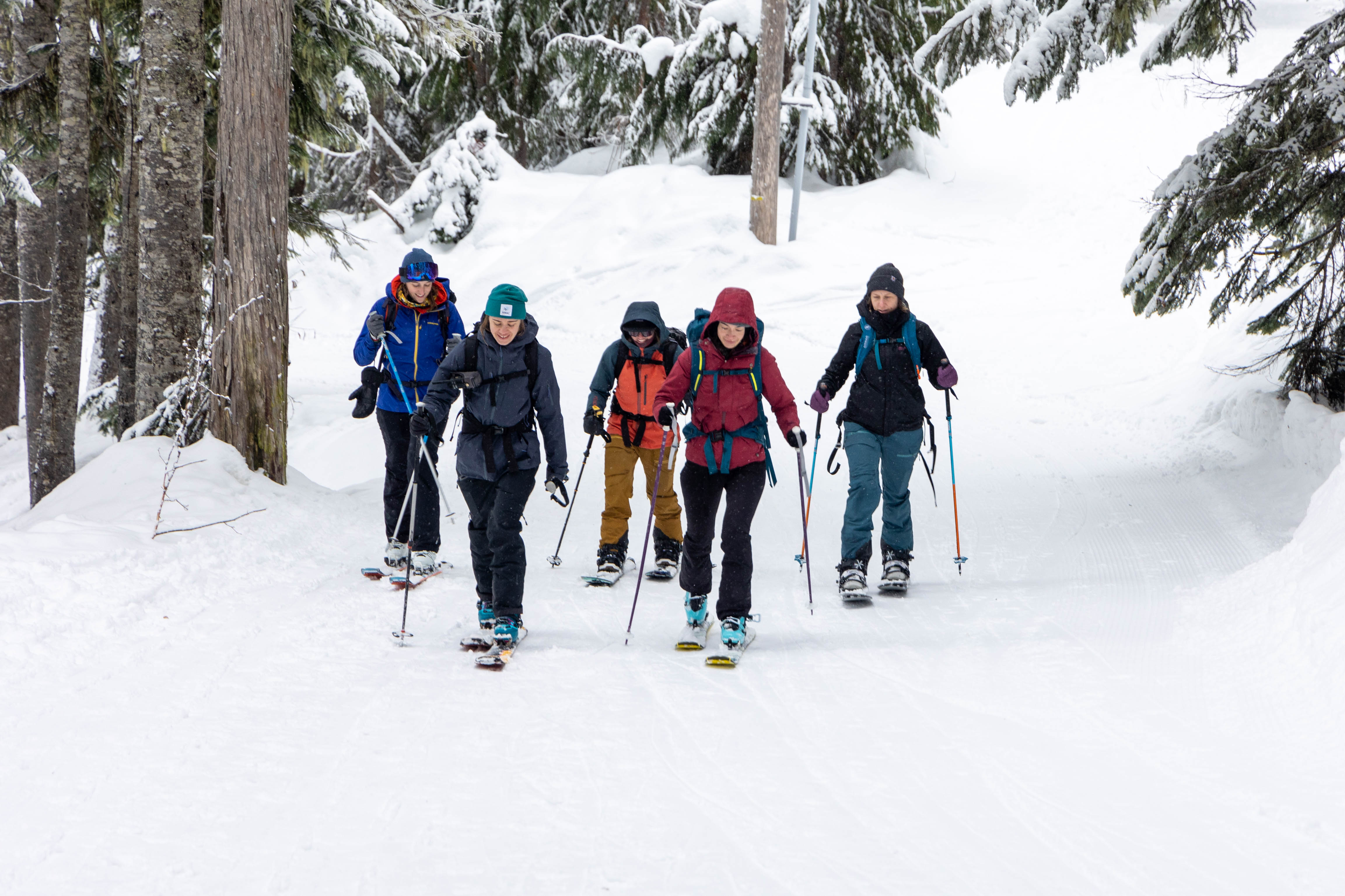 A group skis towards the camera through snowy trees